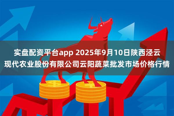 实盘配资平台app 2025年9月10日陕西泾云现代农业股份有限公司云阳蔬菜批发市场价格行情