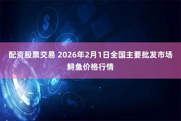 配资股票交易 2026年2月1日全国主要批发市场鲟鱼价格行情