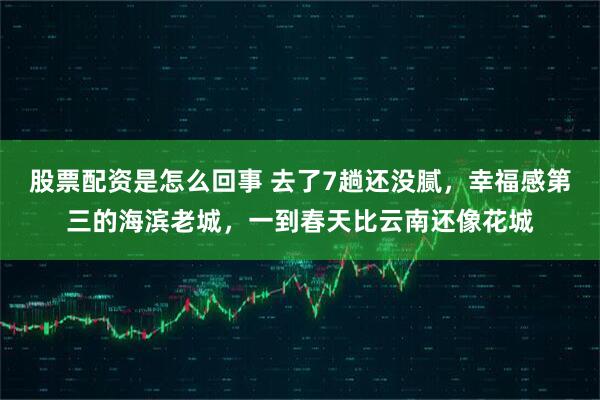 股票配资是怎么回事 去了7趟还没腻，幸福感第三的海滨老城，一到春天比云南还像花城